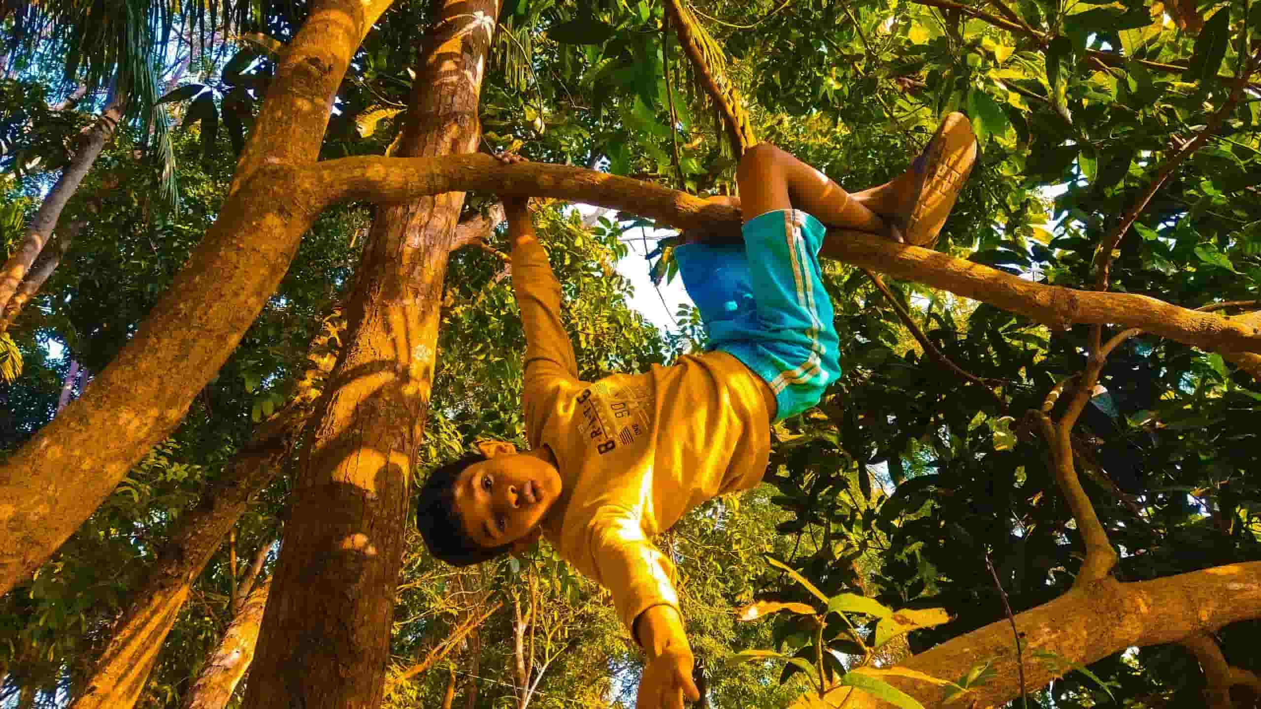 Høyt & Lavt kiipeilypuisto